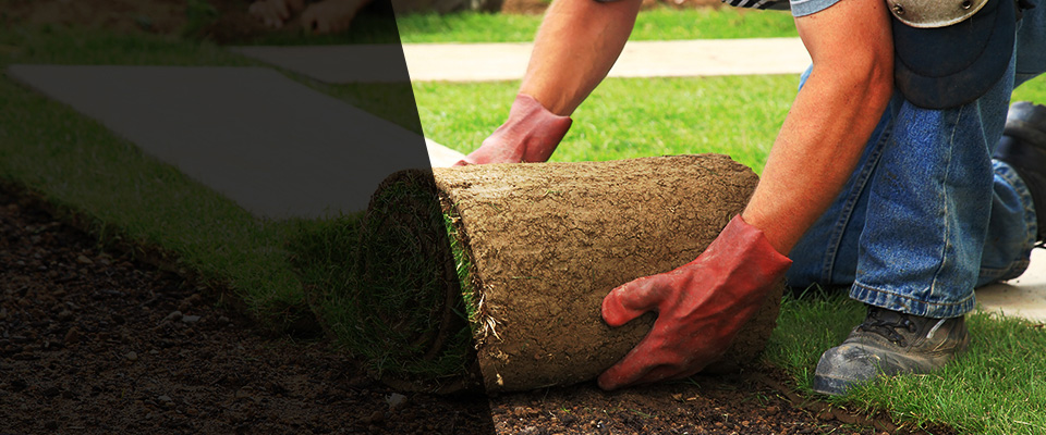Moose Lake Landscapers